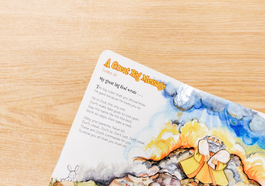 a children's book about the story of jesus
